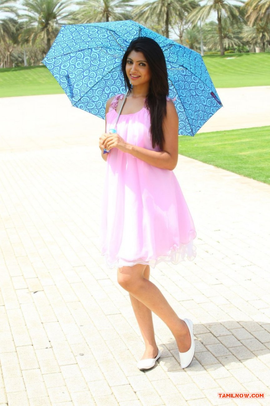 Actress Aakansha Puri 5243