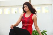 Actress Aakansha Puri Stills 434