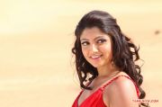 Tamil Actress Aakansha Puri 3529