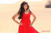 Tamil Actress Aakansha Puri Photos 6198