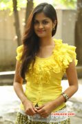 Aashritha South Actress Jul 2015 Image 7017