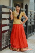 Recent Album South Actress Aashritha 4660