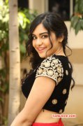 Adah Sharma Heroine Feb 2016 Wallpapers 1894