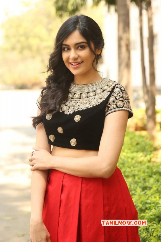 Latest Pictures South Actress Adah Sharma 45