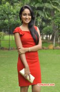 Recent Gallery Cinema Actress Aditi Chengappa 6270