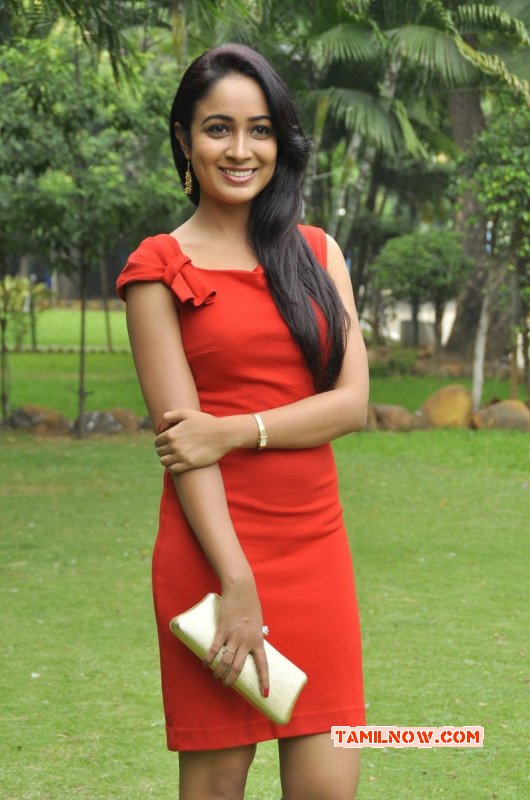 Recent Gallery Cinema Actress Aditi Chengappa 6270