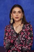 Heroine Aditi Rao Hydari New Pictures 4187