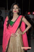 Aishwarya Devan Actress Feb 2015 Photo 4882