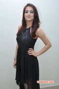 New Photos Aksha Tamil Heroine 2871