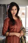 Actress Amala Paul 1806