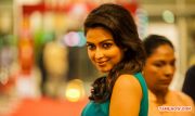 Actress Amala Paul 429