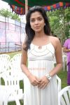 Actress Amala Paul Photos 1629