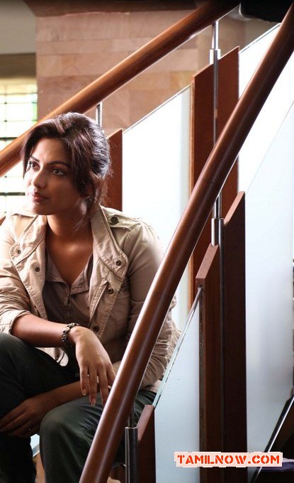 Actress Amala Paul Photos 2041