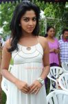 Actress Amala Paul Stills 6118