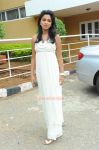 Amala Paul Photos 8486