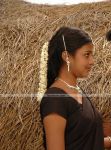 Amala Paul Picture 1