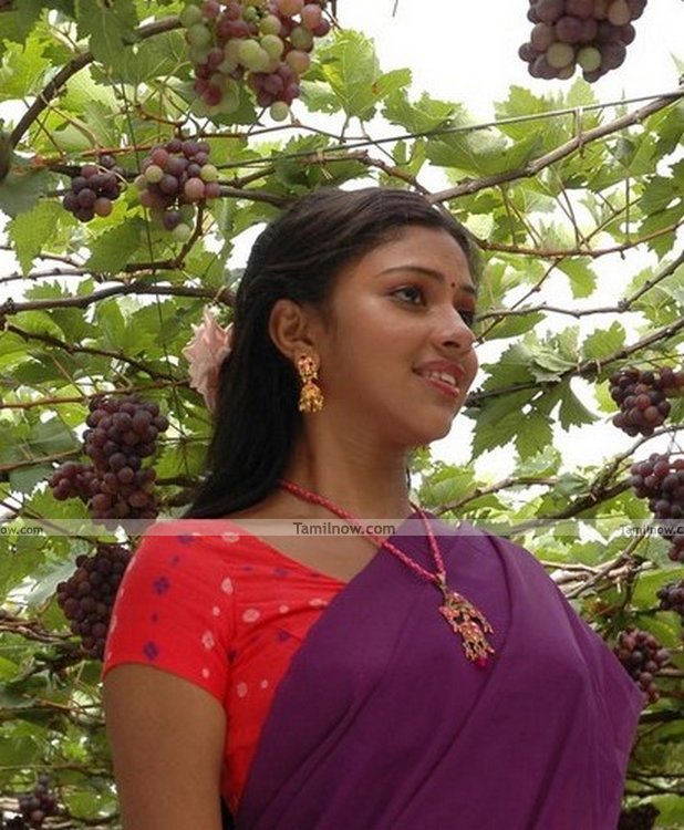 Amala Paul Picture 7