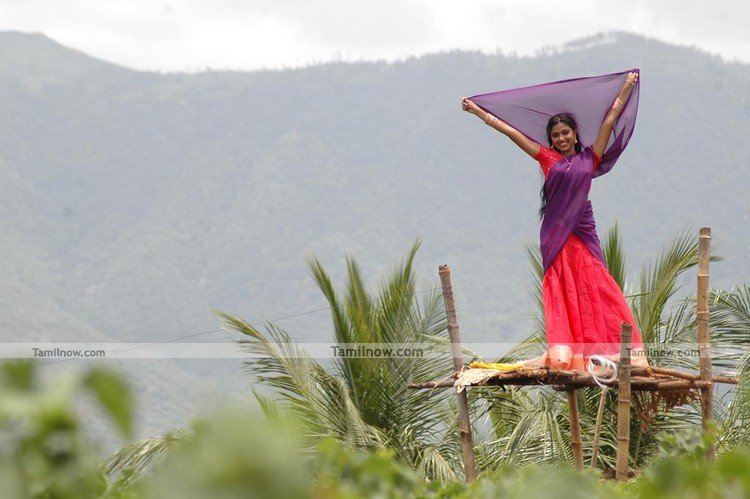 Amala Paul Still 1