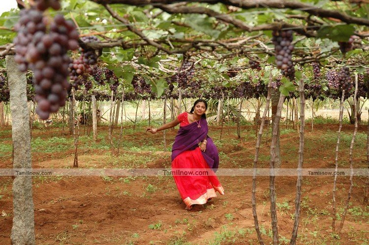 Amala Paul Still 2