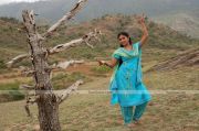 Amala Paul Still 3