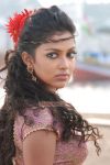 Tamil Actress Amala Paul 1142