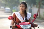 Tamil Actress Amala Paul 228