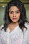 Tamil Actress Amala Paul 3119