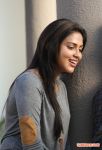 Tamil Actress Amala Paul 5173