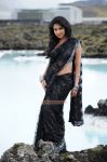Tamil Actress Amala Paul Photos 4609