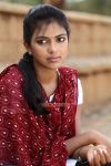 Tamil Actress Amala Paul Photos 5542