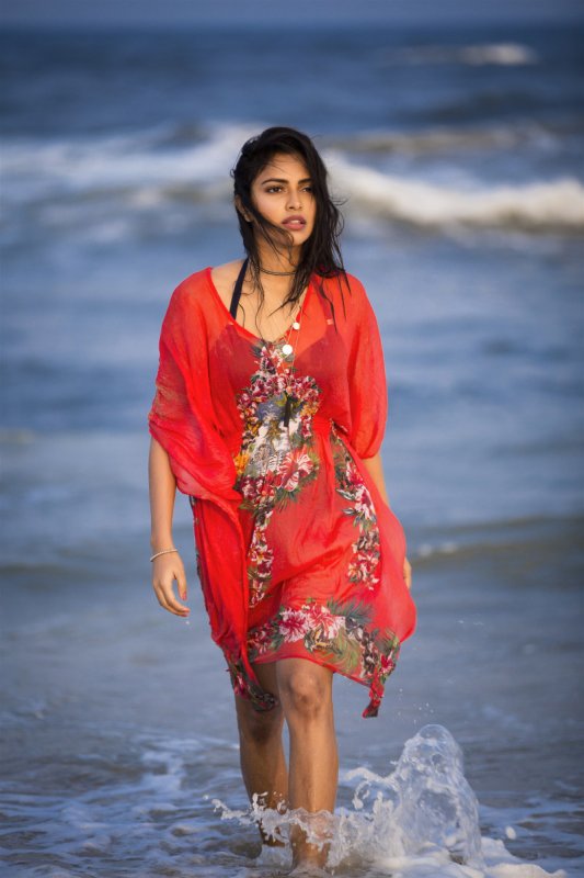Tamil Actress Amala Paul Recent Images 2705