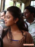 Tamil Actress Amala Paul Stills 718