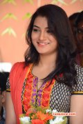 New Photo Tamil Actress Ambika Soni 4083