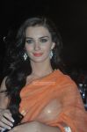 Amy Jackson 1511