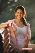 Amyra Dastur Movie Actress New Galleries 916