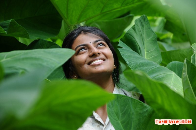 Actress Anandhi 8750