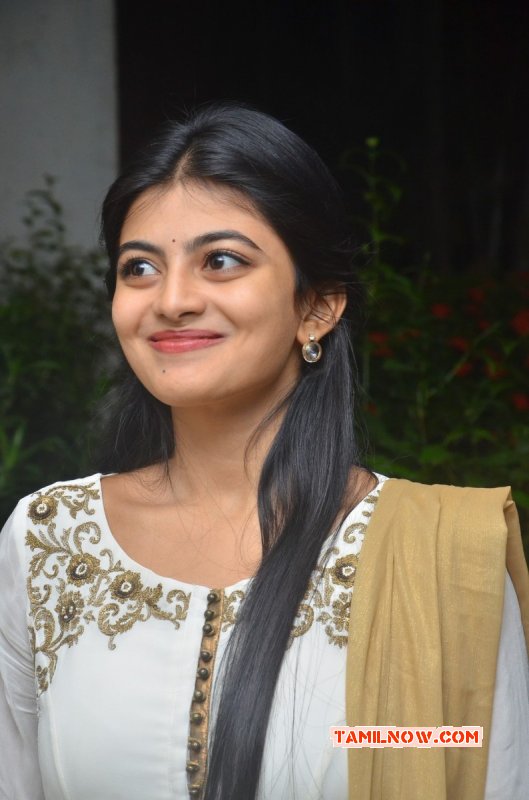 Actress Wallpaper Anandhi New 431