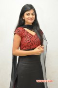 Anandhi Latest Actress Album 285