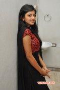 Cinema Actress Anandhi New Gallery 3481