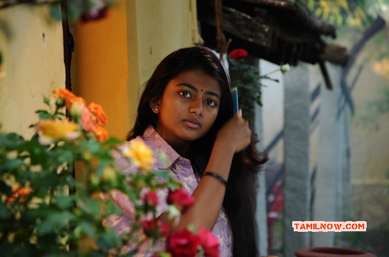 Image Film Actress Anandhi 8330