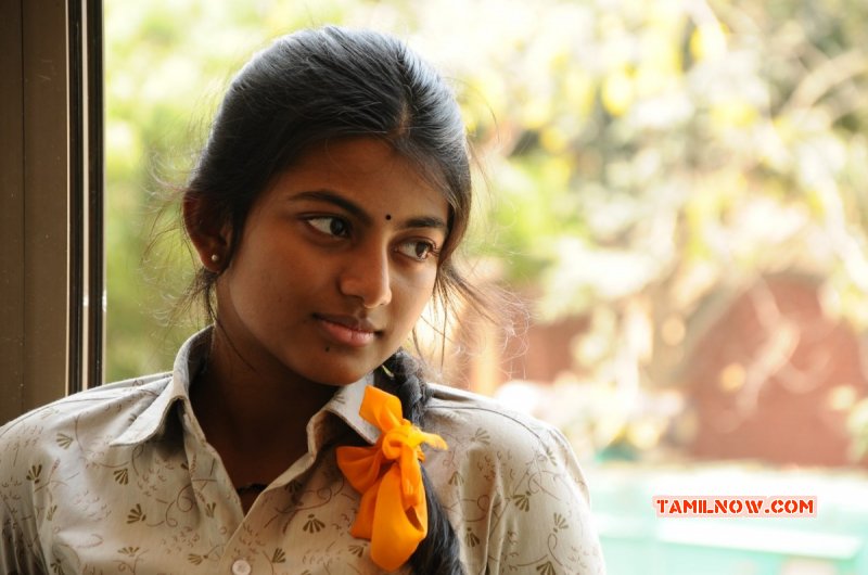 Latest Albums Anandhi Indian Actress 5754