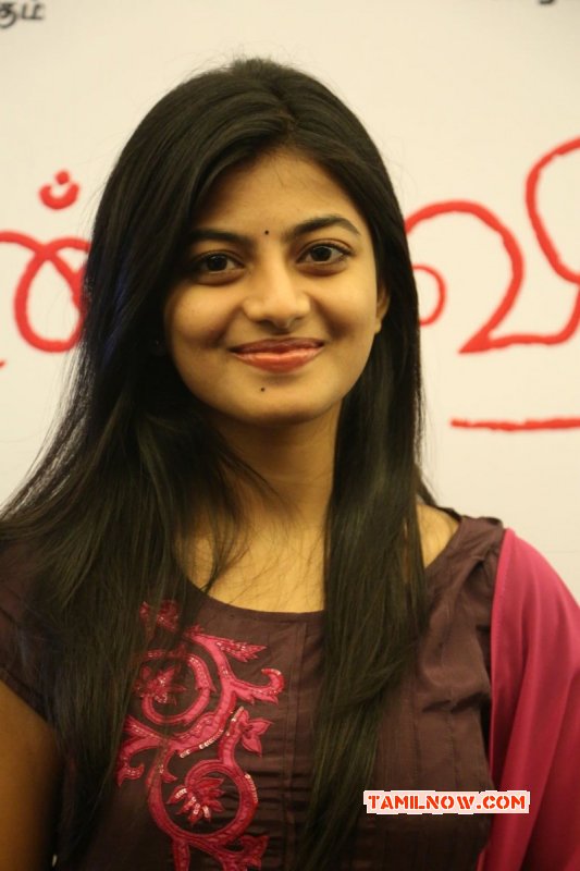 New Album Cinema Actress Anandhi 4554