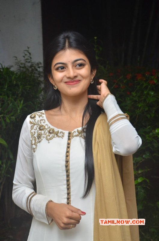 Pictures Anandhi Movie Actress 9108