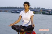 Recent Gallery Cinema Actress Anandhi 6901