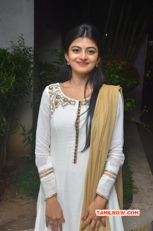 Sep 2016 Galleries Movie Actress Anandhi 8823