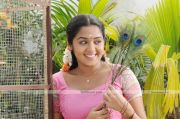 Ananya Pictures 3