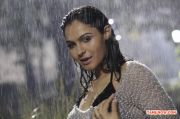 Actress Andrea Jeremiah 8790