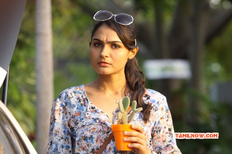 Actress Andrea Jeremiah Nov 2014 Pic 5773