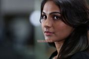 Andrea Jeremiah 4258