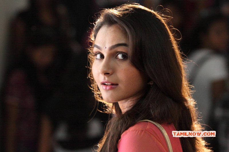 Andrea Jeremiah Cinema Actress New Albums 5672